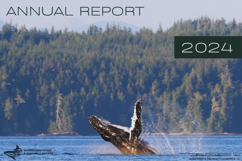 Cover of 2024 Annual Report